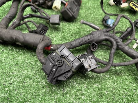 Проводка основная Ducati Monster 1200 S 14-16 год-3