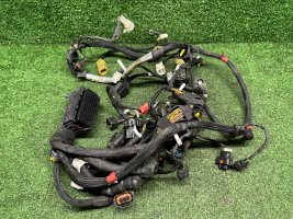 Проводка двигателя Ducati Panigale V4 S 