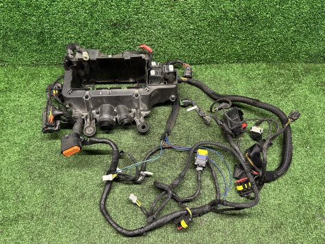 Проводка блок предохранителей Ducati Panigale V4 S -0