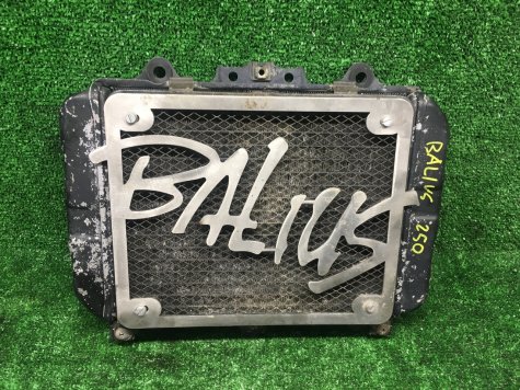 Радиатор Kawasaki Balius 250-0