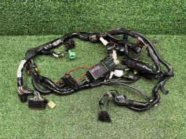 Проводка основная Suzuki SV 650 VP55B 16+