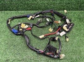 Проводка основная Yamaha R1 02-03 5PW