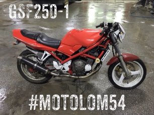 Поступил - Suzuki GSF250-1 Bandit
