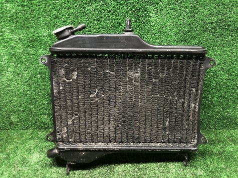 Радиатор Yamaha TDR250 TDR 250-2
